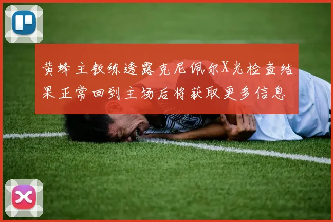 黄蜂主教练透露克尼佩尔X光检查结果正常回到主场后将获取更多信息