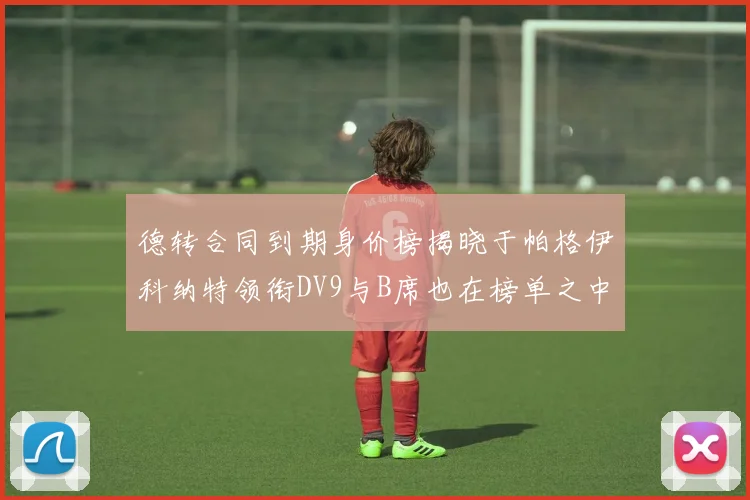 德转合同到期身价榜揭晓于帕格伊科纳特领衔DV9与B席也在榜单之中