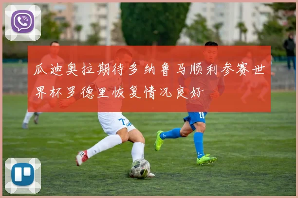 瓜迪奥拉期待多纳鲁马顺利参赛世界杯罗德里恢复情况良好
