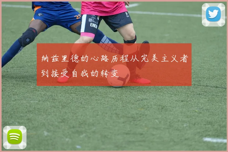 纳兹里德的心路历程从完美主义者到接受自我的转变