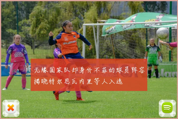无缘国家队却身价不菲的球员阵容揭晓特尔恩瓦内里等人入选