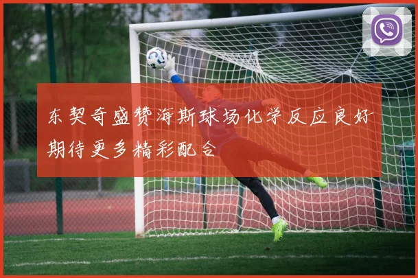 东契奇盛赞海斯球场化学反应良好期待更多精彩配合